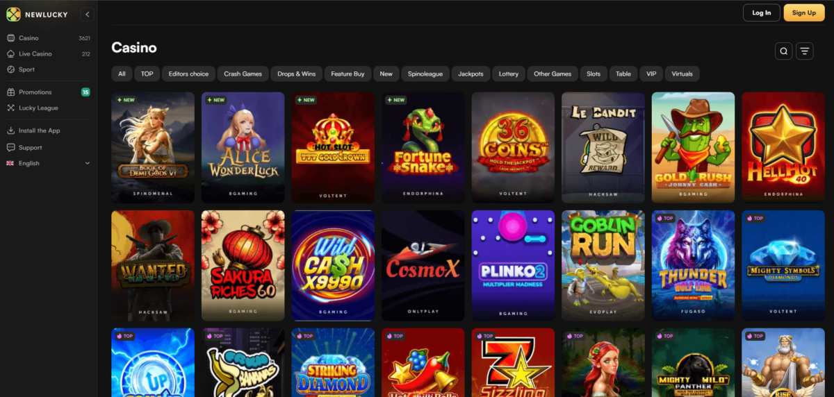 Screenshot of NewLucky Casino