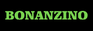 bonanzino casino logo